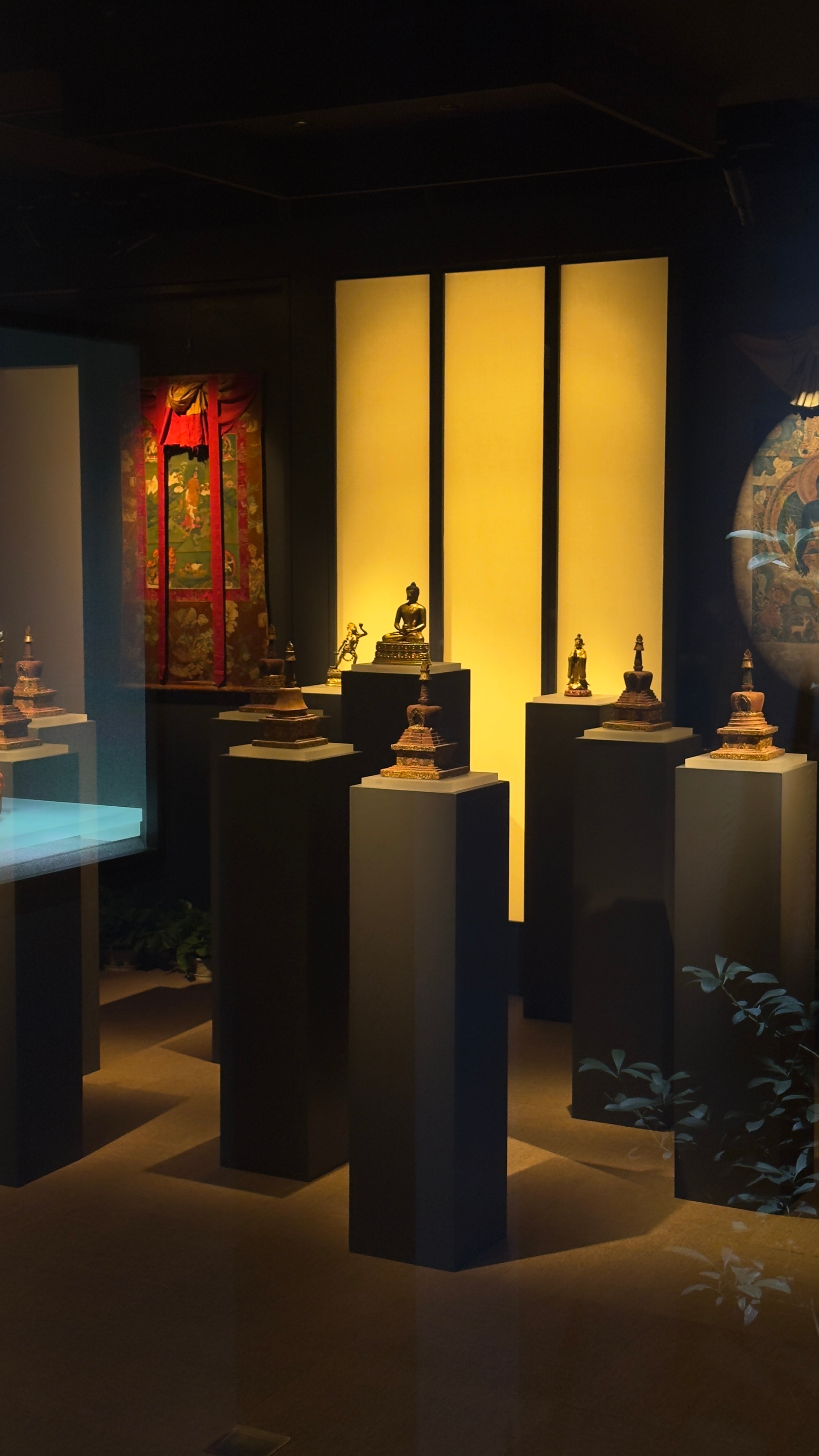 美的空间陈列，就算锁着门，隔着玻璃都想多看几眼 