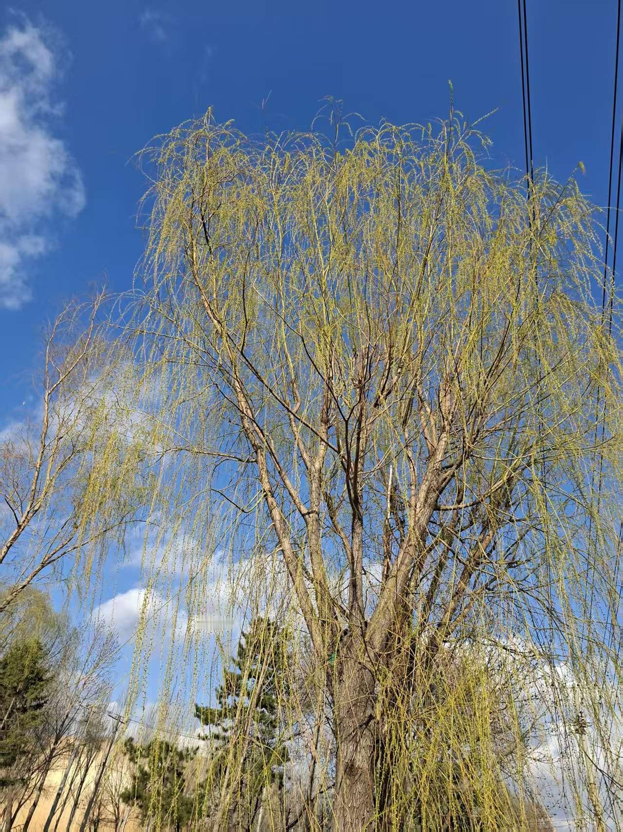 把老人当孩子？还是把他们当领导吧，深情不如薄情更长久

日复一日，照顾年迈父母，