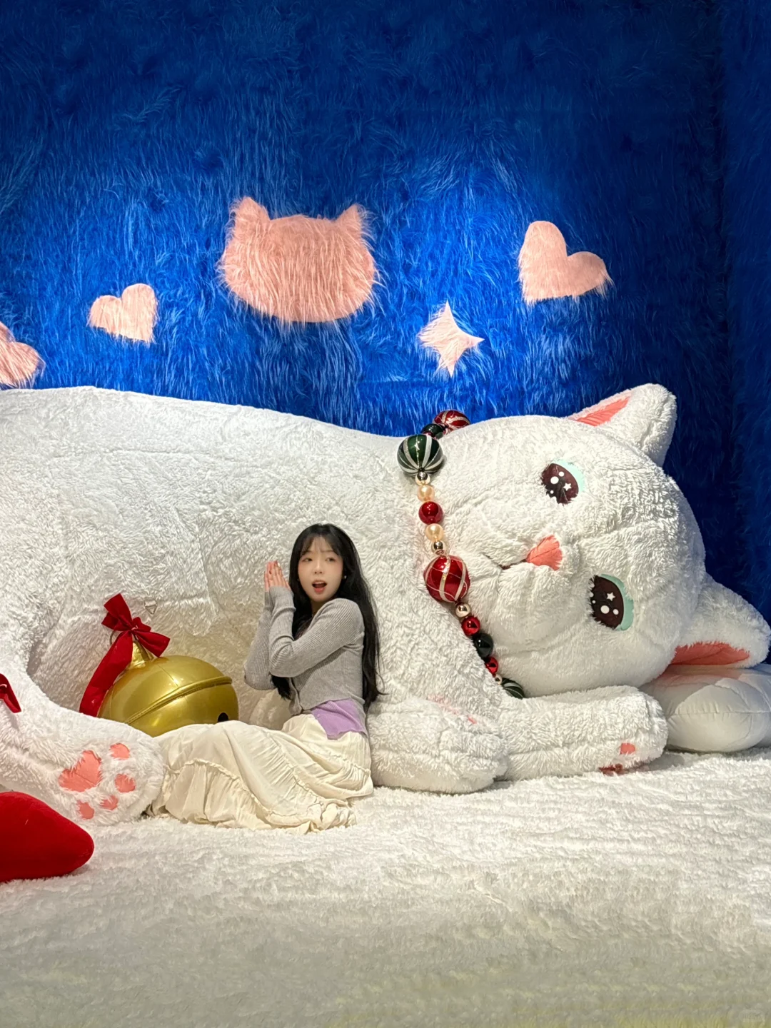 西安新展🐈猫猫教主在此，速速前来参拜🐾❗️