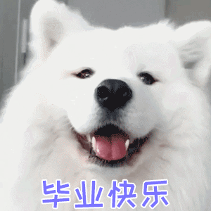 毕业后还有少年心气有多难得 褪去校园青涩踏入成人世界，仍坚守初心不随波逐流，敢热