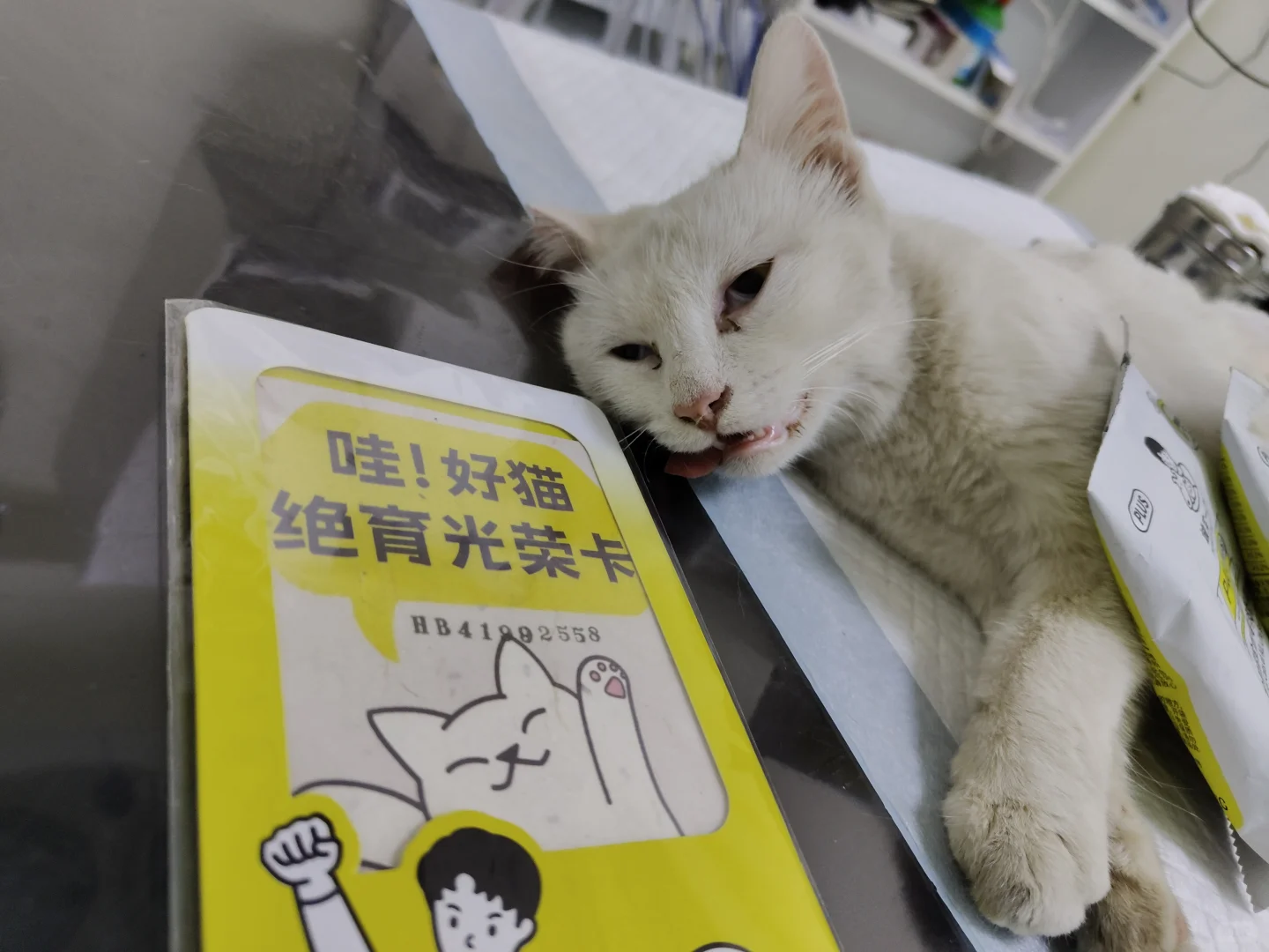 只是不小心吃了人类的饭，怎么就……