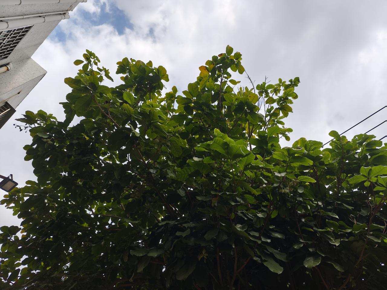 还是越来越懂一件事，人真正变厉害，从来没什么五花八门的捷径。

年少的时候心性稚