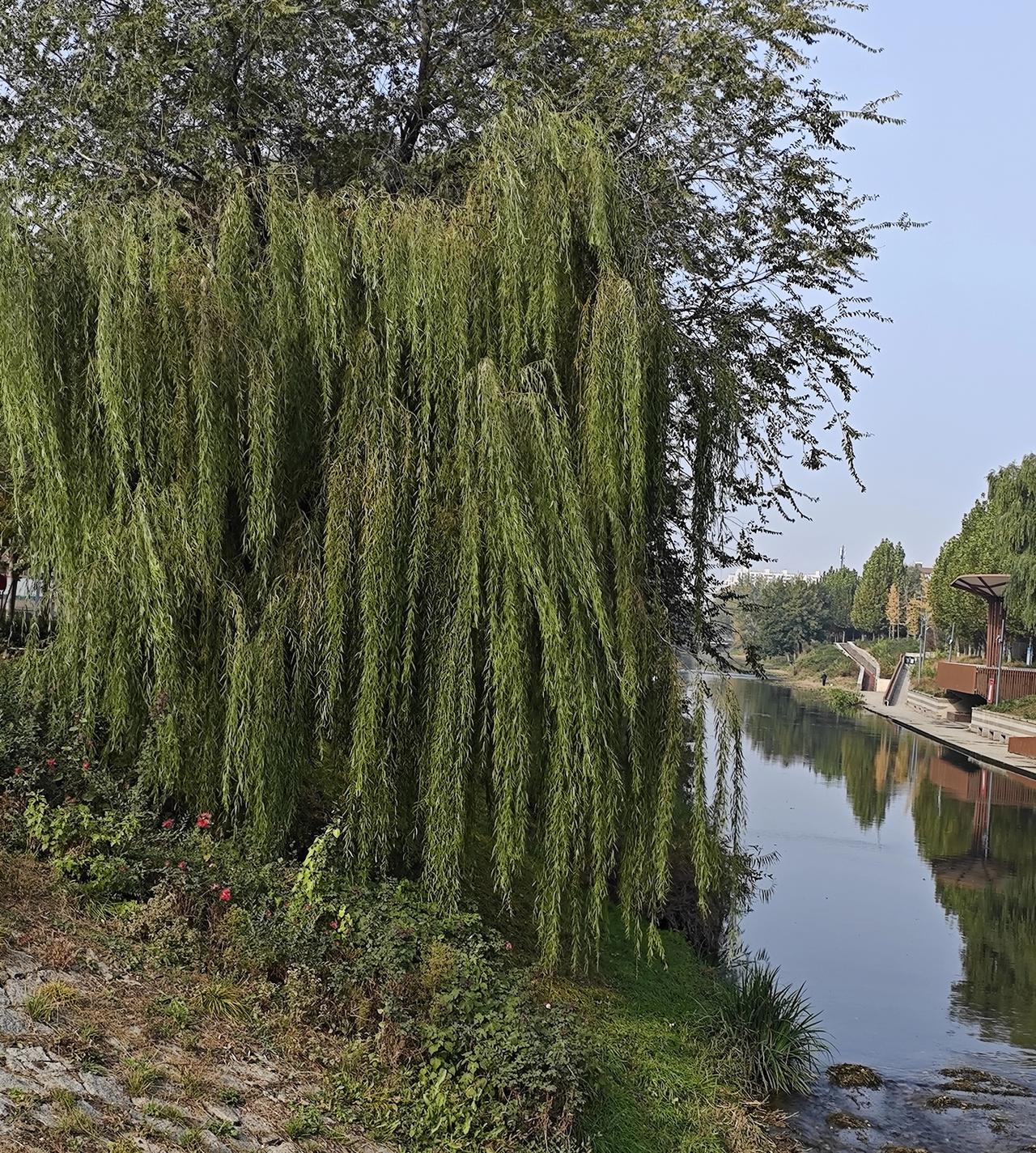 人活一辈子，什么是真正属于你的人活一辈子，外物皆是过客，真正属于自己的唯有三样。