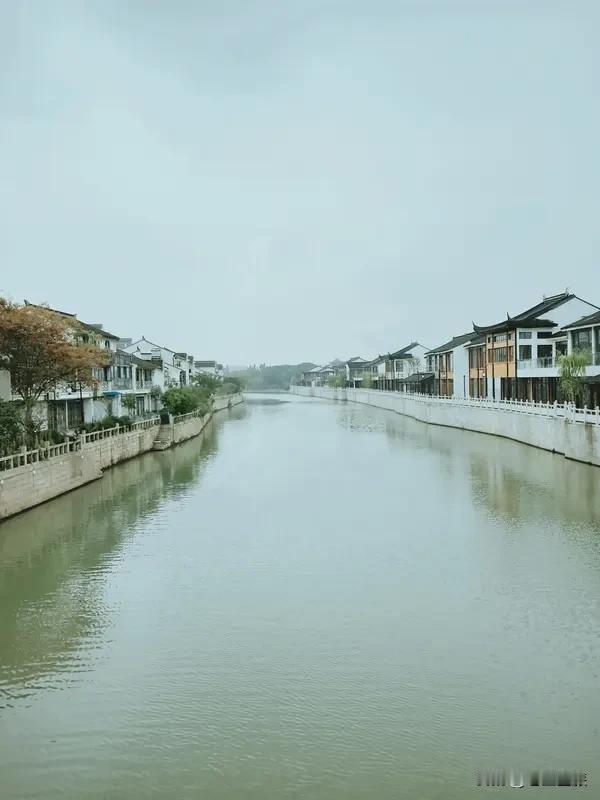 今年春天最想实现的心愿 今年春天，我最想实现的心愿就是来一场说走就走的旅行。想去