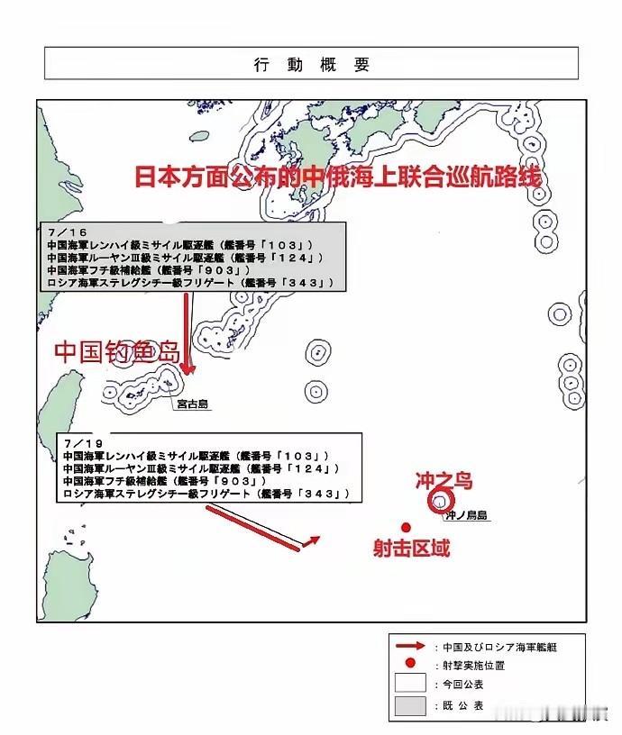 新加坡南洋理工大学学者李明江认为：中国军舰在冲之鸟礁的实弹射击，是对日本在南海搬