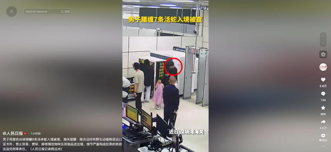 一个男人，用黑色丝袜把8条活蛇贴身绑在自己身上，差点就混进了中国。

几天前的深