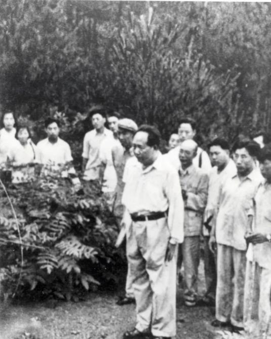 1930年11月，杨开慧出殡当天。突然，三岁的儿子毛岸龙拼命往棺木上爬，哭喊着：