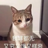 乖乖仔读读科技