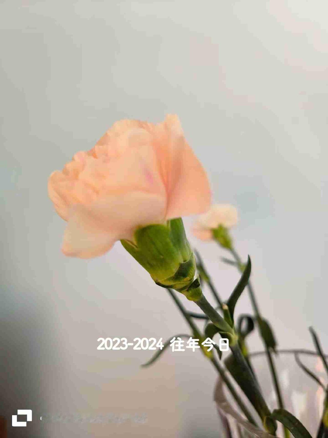 我的今日状态：😁轻松愉快
我这里的天气：🌤️多云
