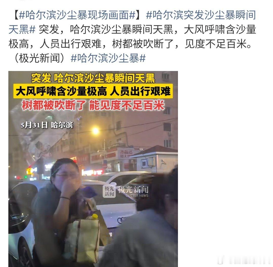 哈尔滨沙尘暴现场画面哈尔滨沙尘暴来了，大家要注意安全，特别是开车的，一定要开慢点