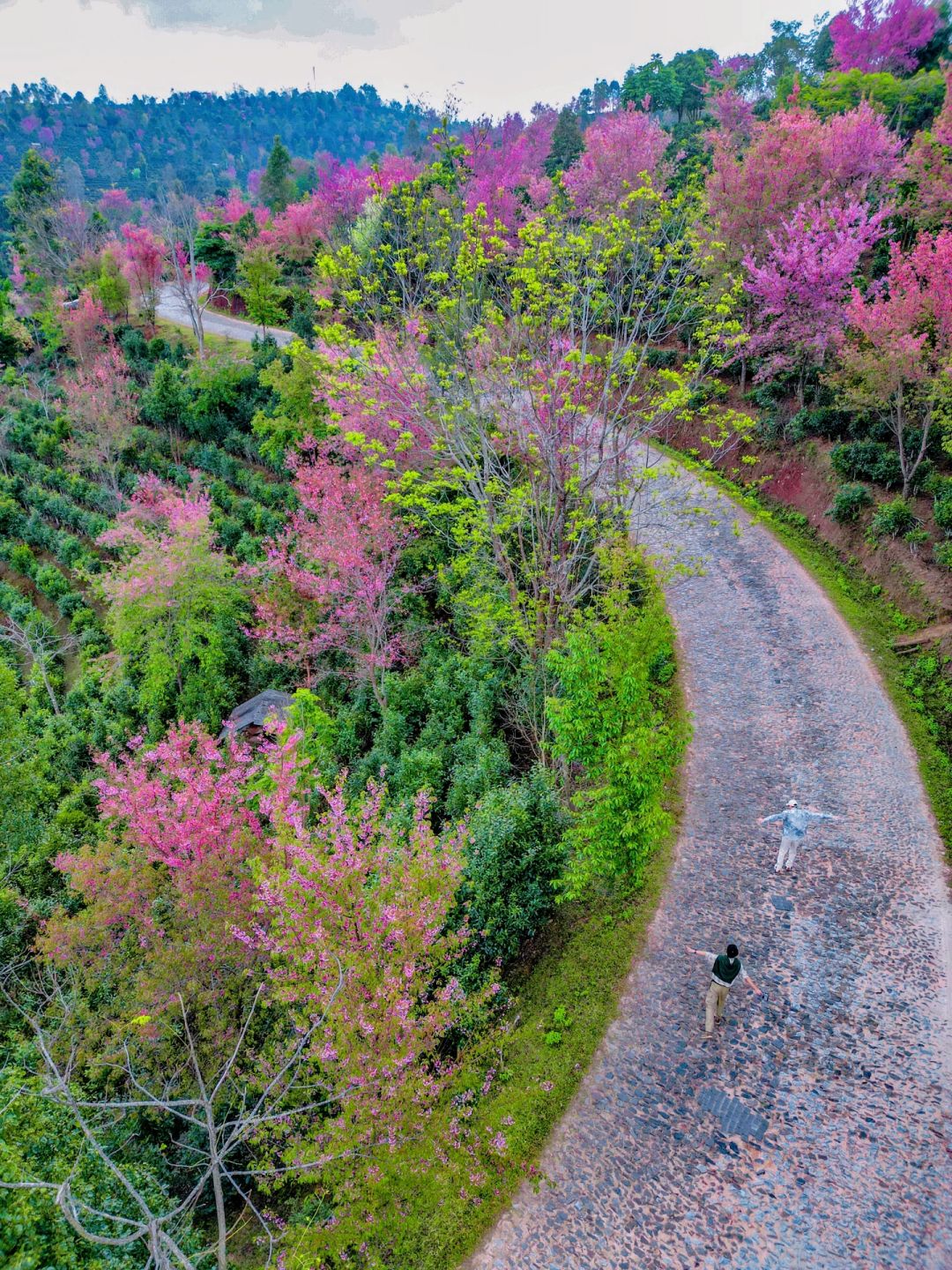中国新晋的世界遗产‼️这里有现实的”花路“