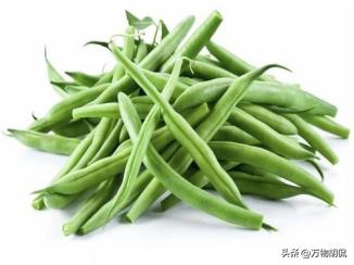 每株都有“剧毒”有人因为吃了它患上尿毒症，但是家家户户却依旧在吃它，一度成为集体
