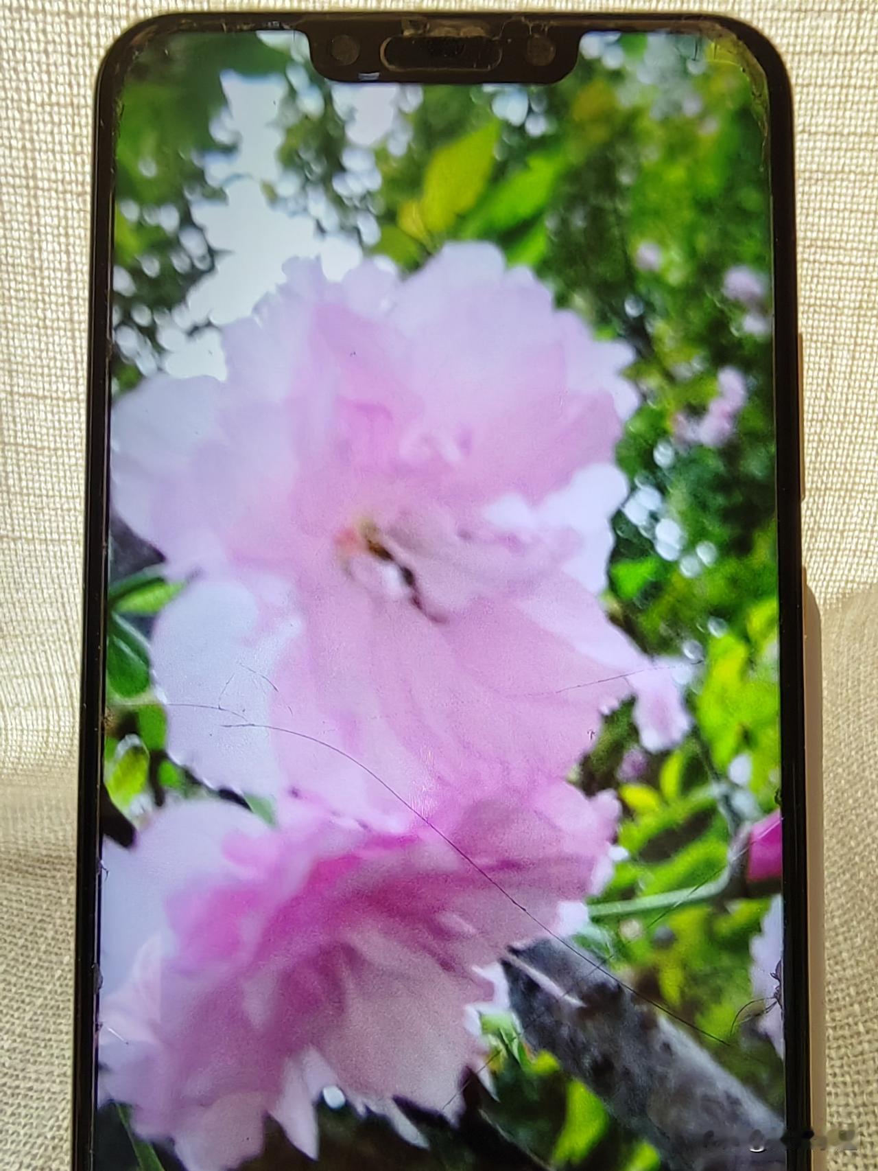 离婚，只因对方刷手机不聊天
前几天，我偶遇了多年未见的同学，她说她已经离婚了。