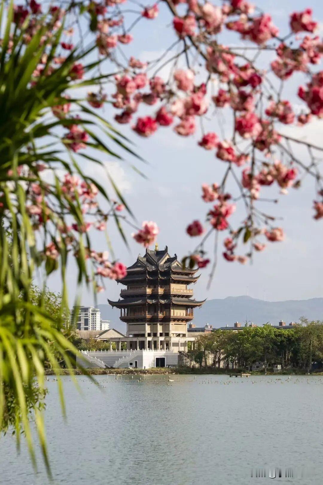 岁月不居，时节如流，珍惜当下
 
岁月不居，时节如流，时光从不会为任何人停下脚步