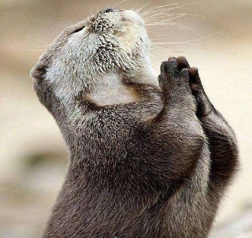 留下一句“妈妈增寿增福~” ​​​