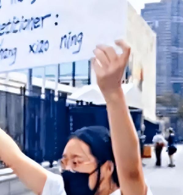 为了永留美国，在联合国大楼举牌抹黑中国的张晓宁，终于“圆梦”，这一次她得到了纽约