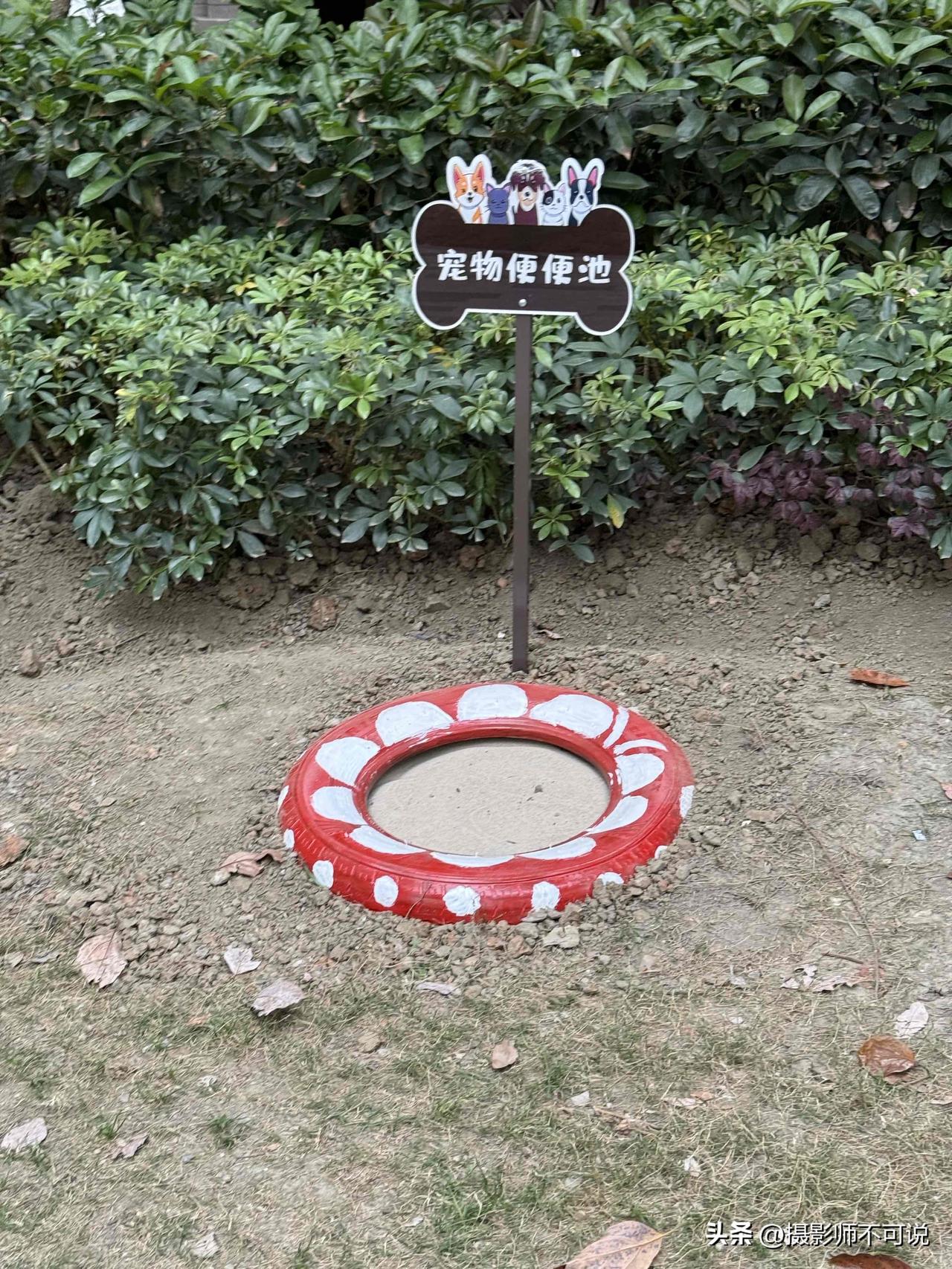 宠物也有公共厕所了，宠物们能自觉去上厕所吗？今天吃完饭去小区遛弯儿，忽然发现路旁