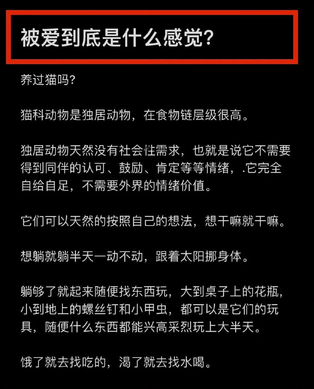 被爱到底是什么感觉 