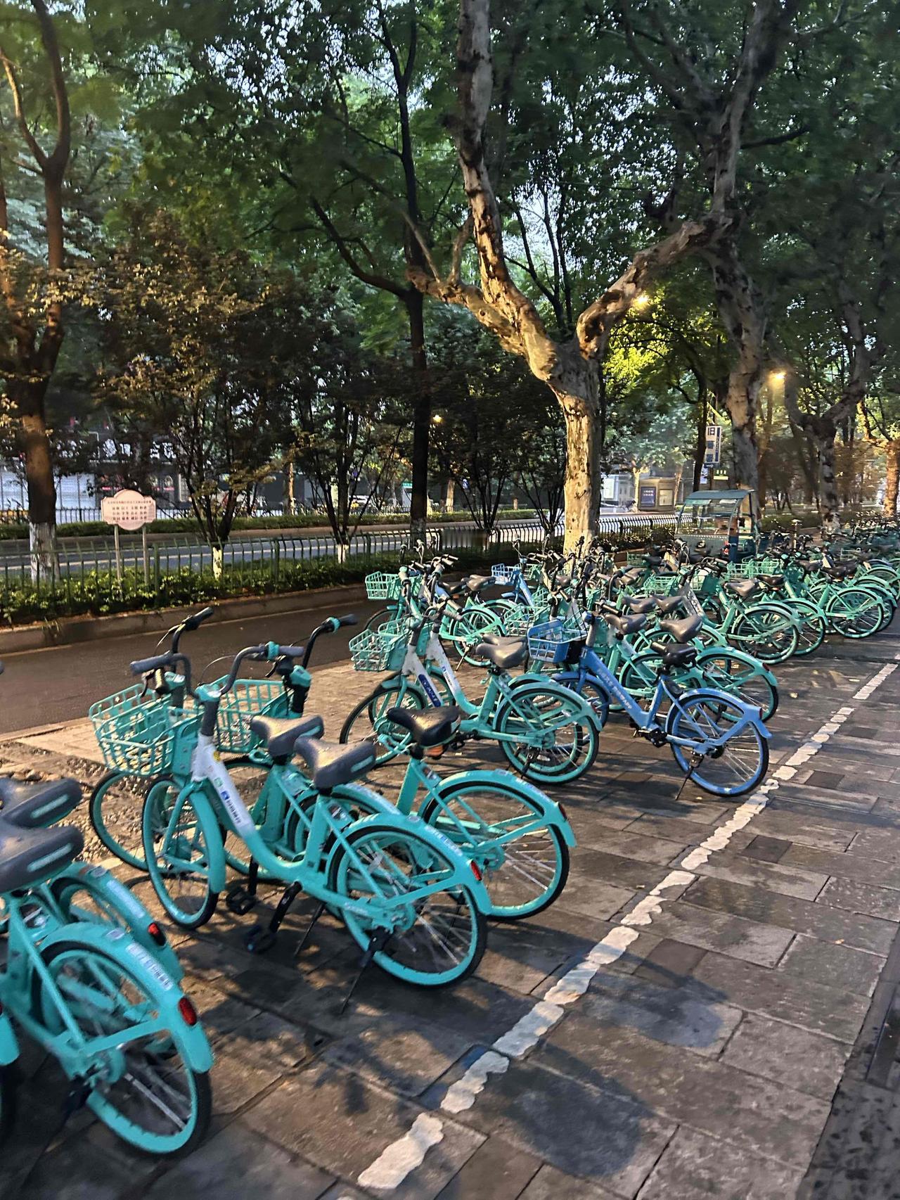 日子慢慢过，用心感受每一份小温暖与小美好