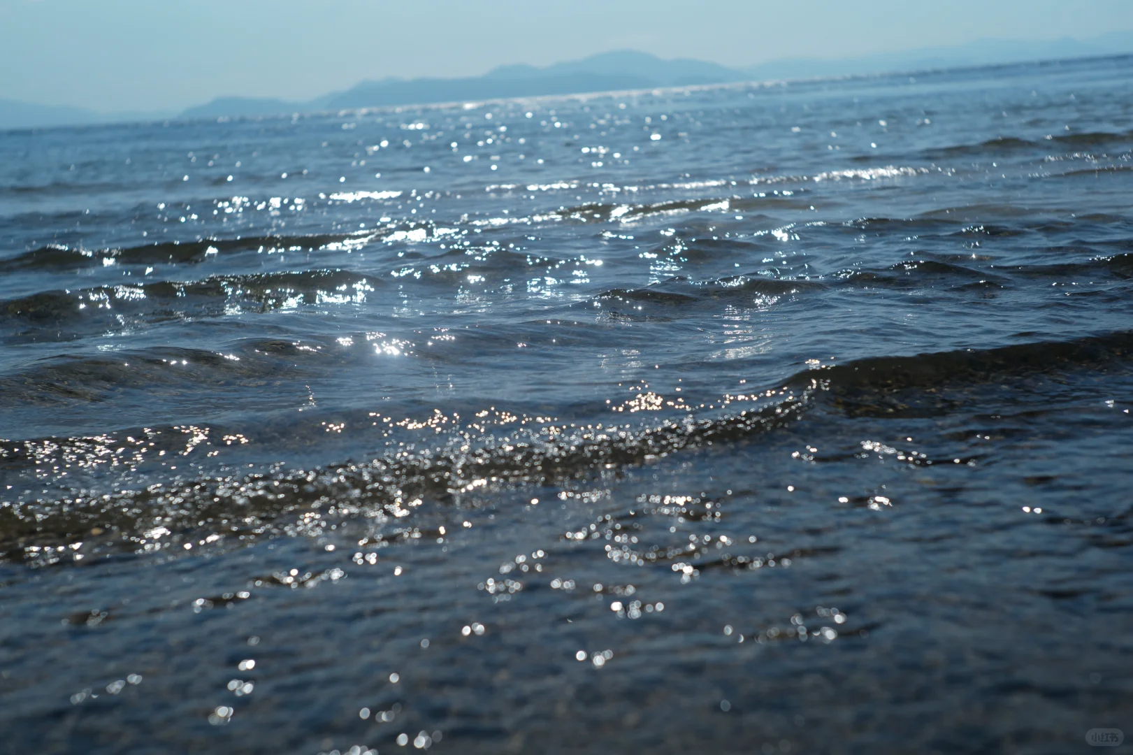 琵琶湖的水还是那么清澈