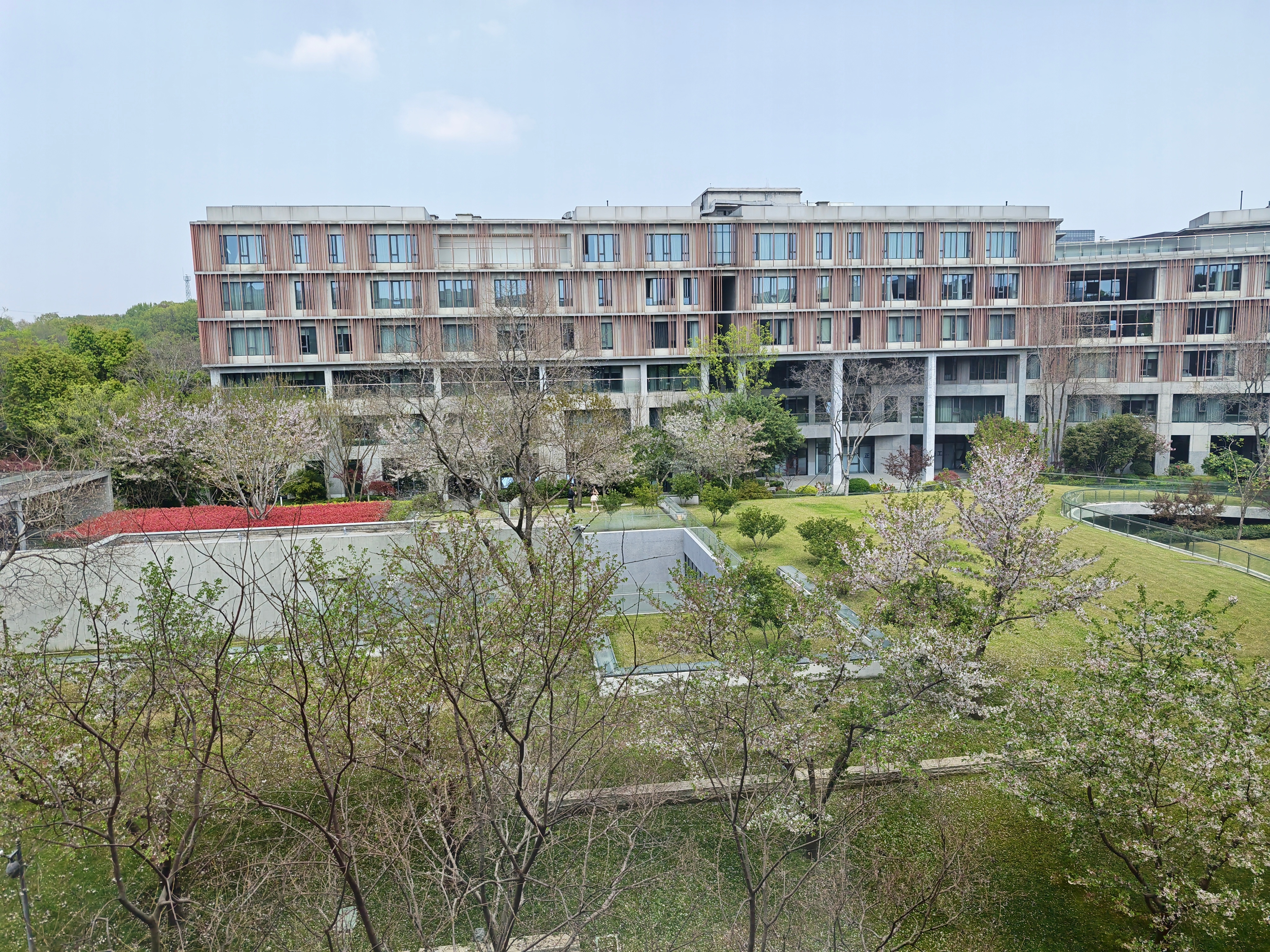 南京这天刚刚好啊，适合休息放假