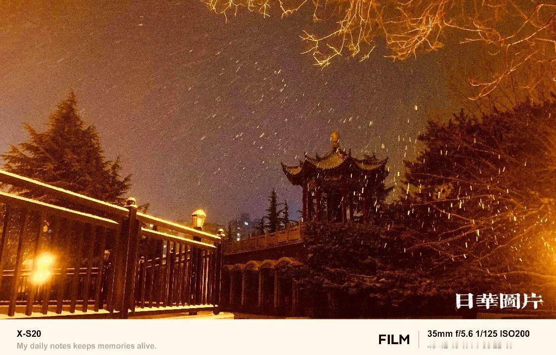 渭北合阳下雪了❄️