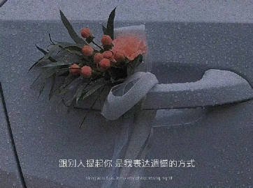 “任何人的底气都来源于经济实力，有钱能治愈一切自卑，光善良没用，你要优秀 
