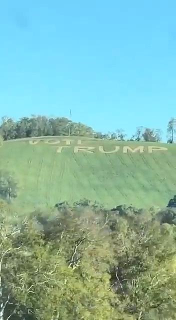 有人把“投票给特朗普”的字样割到了大山的侧面！
