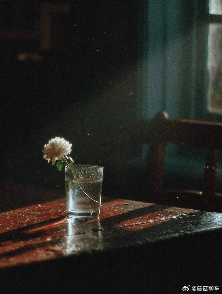 早上好家人们～今天起的晚～