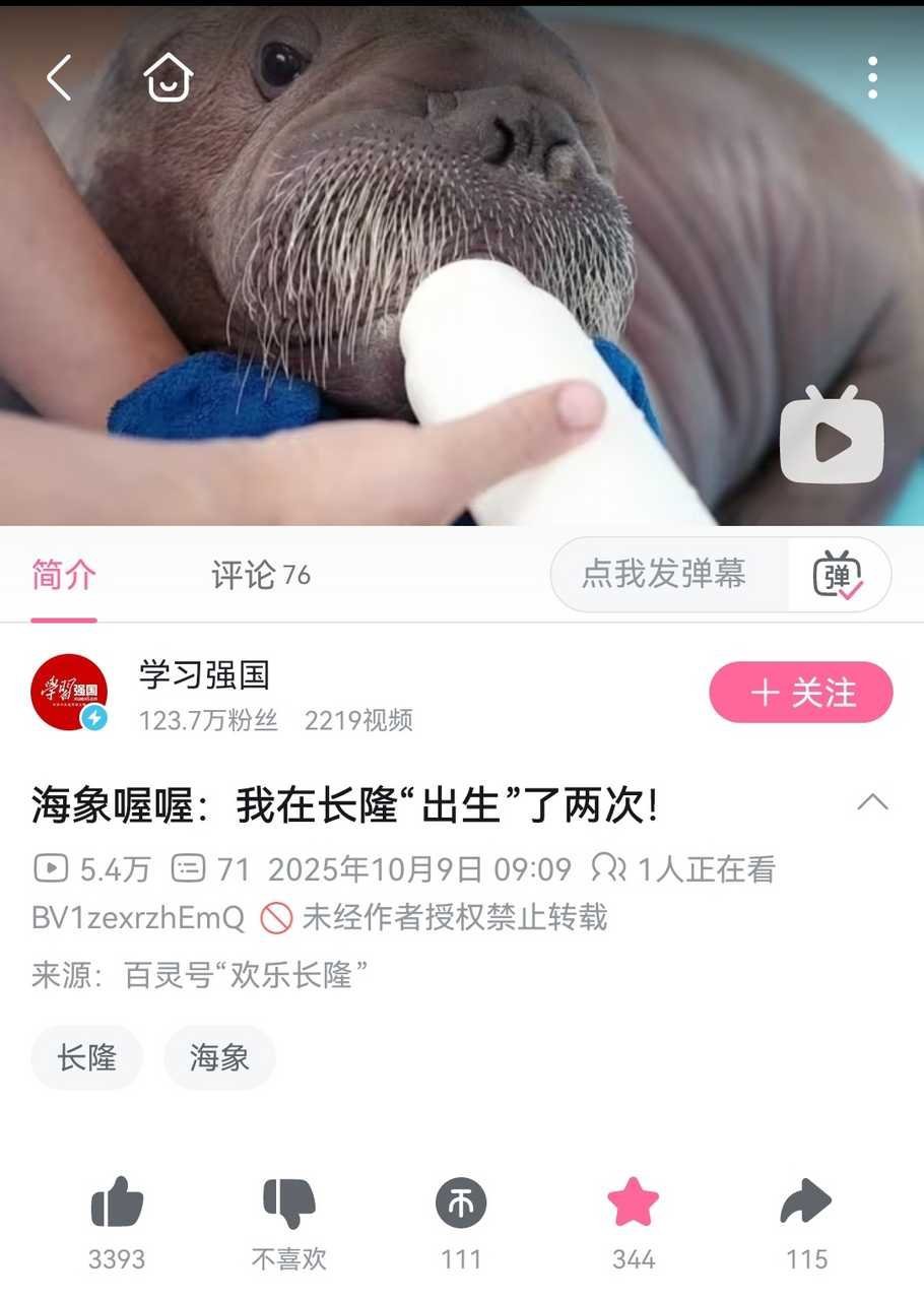 44046学习强国官号发了只小海象引来了这什么不明生物。