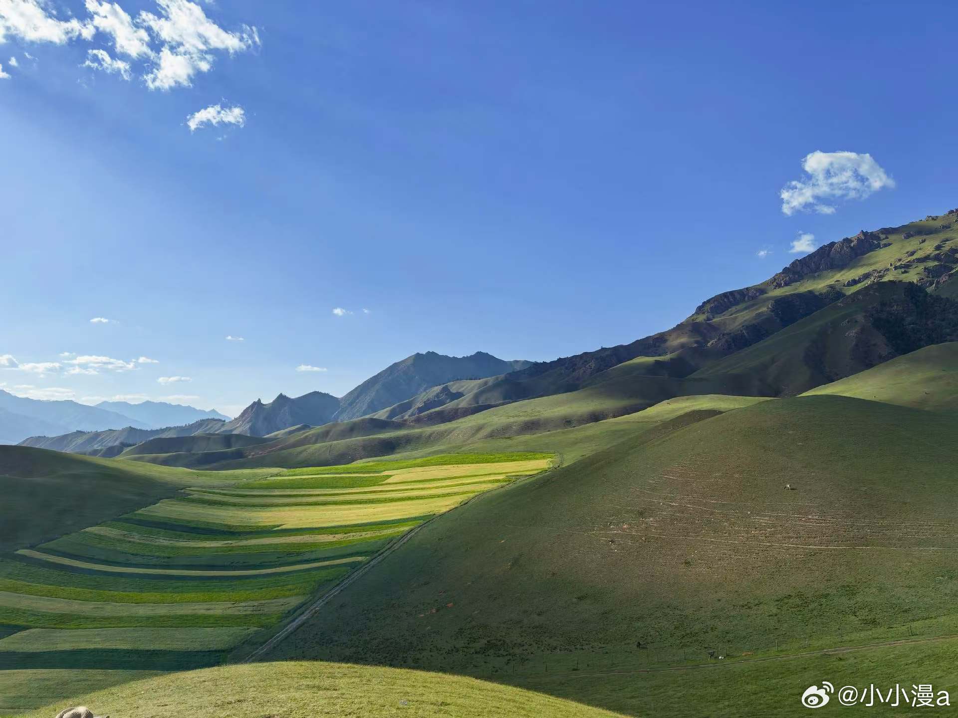 要求别人爱自己，是最大的傲慢。——尼采《与孤独为伍》 