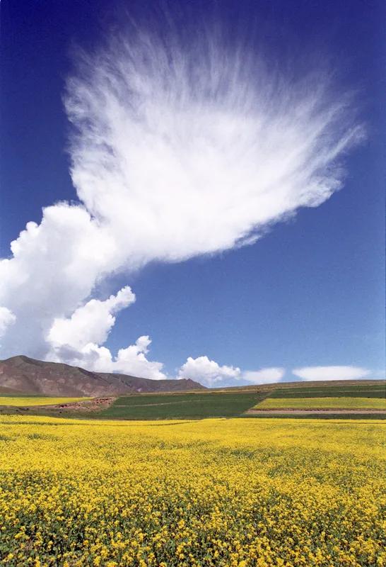 村庄座落在高原
朵朵白云映蓝天
休闲养生此处住
幸福美满赛神仙