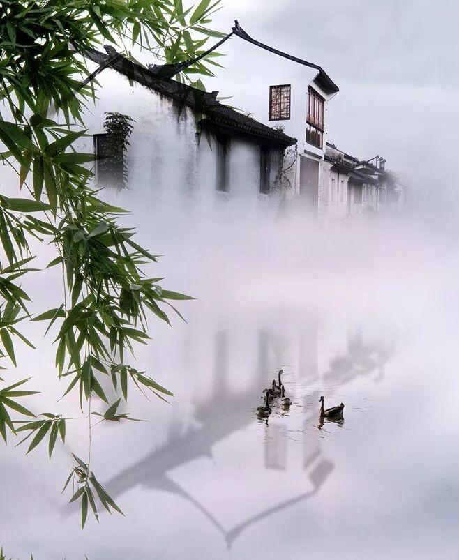 暮色乡村一瞥惊鸿……