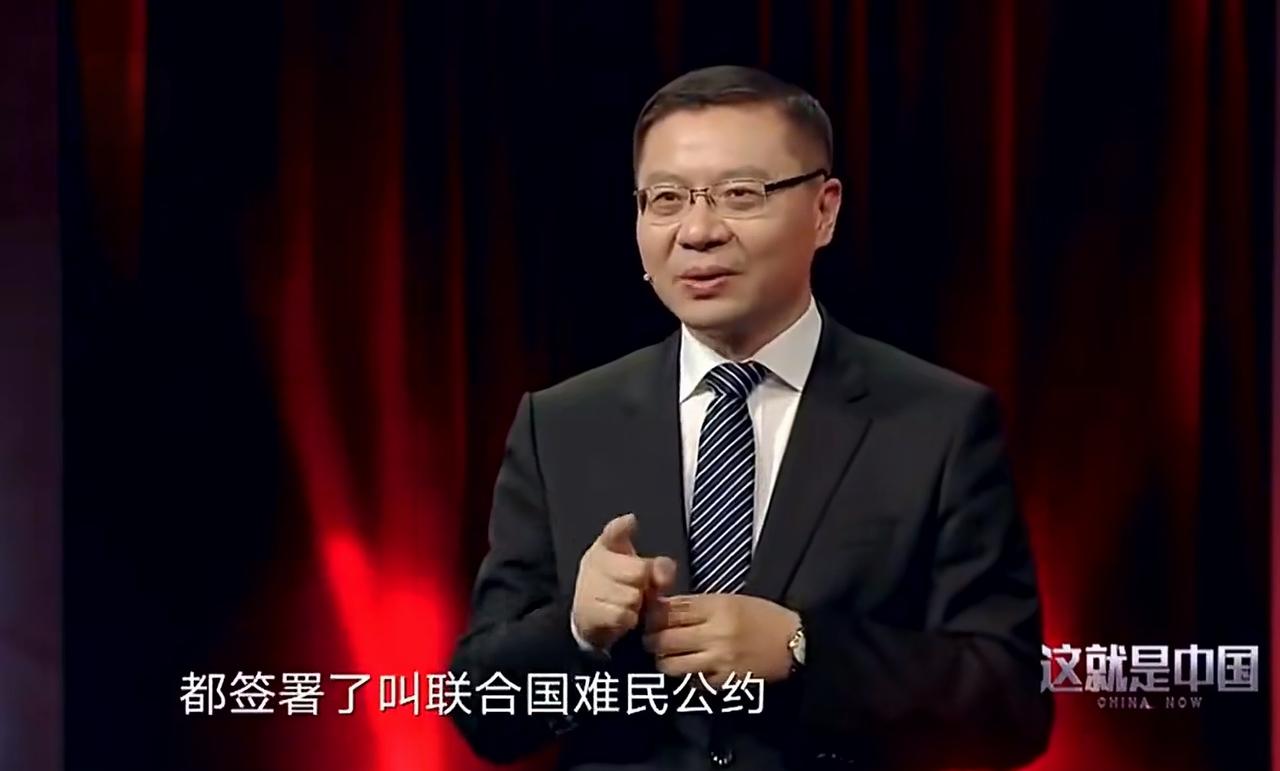 石头砸自己脚上了
张维为教授讲了一个关于欧洲自作自受的事情。
西方国家推动了阿拉