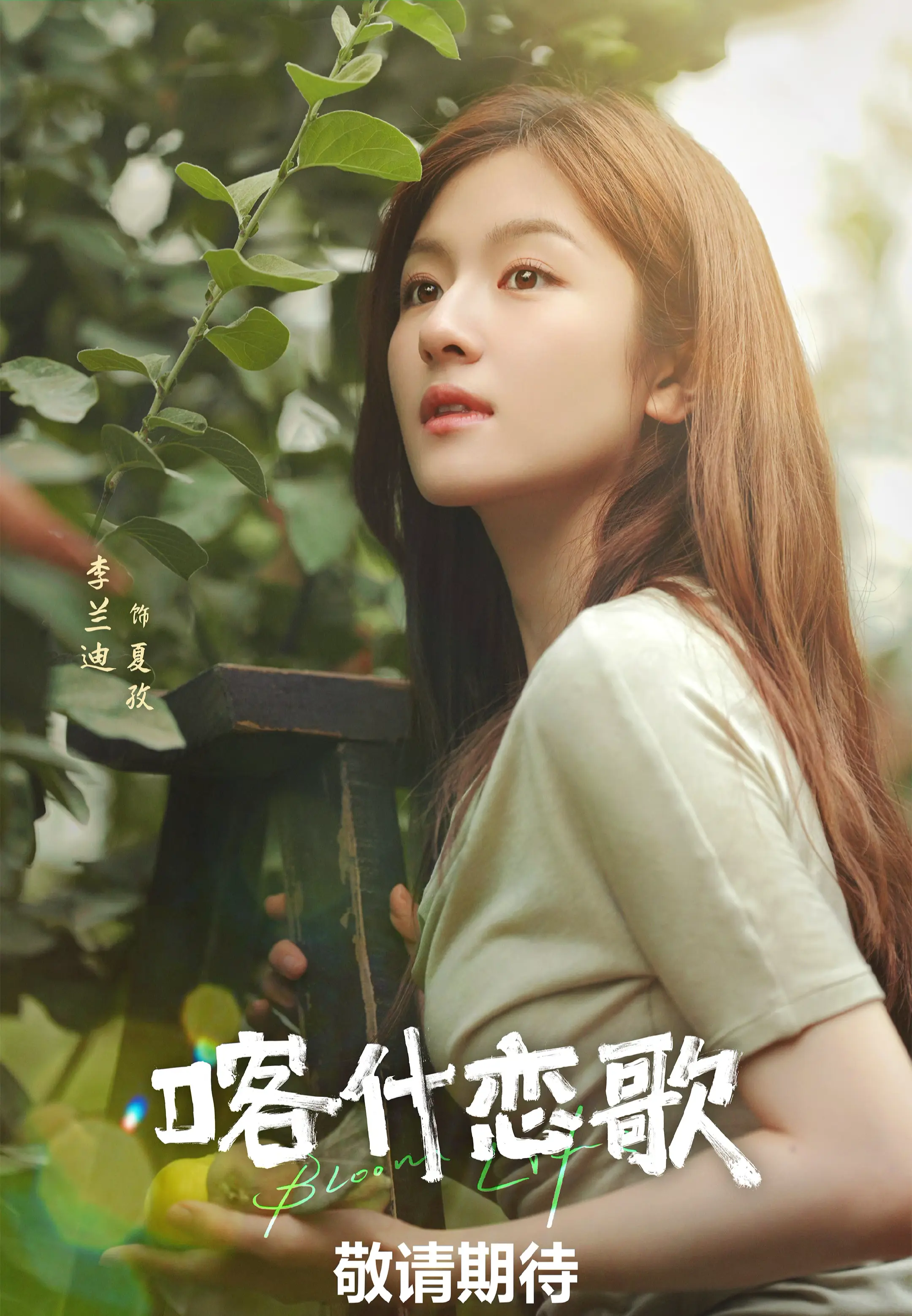 我们夏孜饱饱的剧照，改名了叫喀什恋歌了