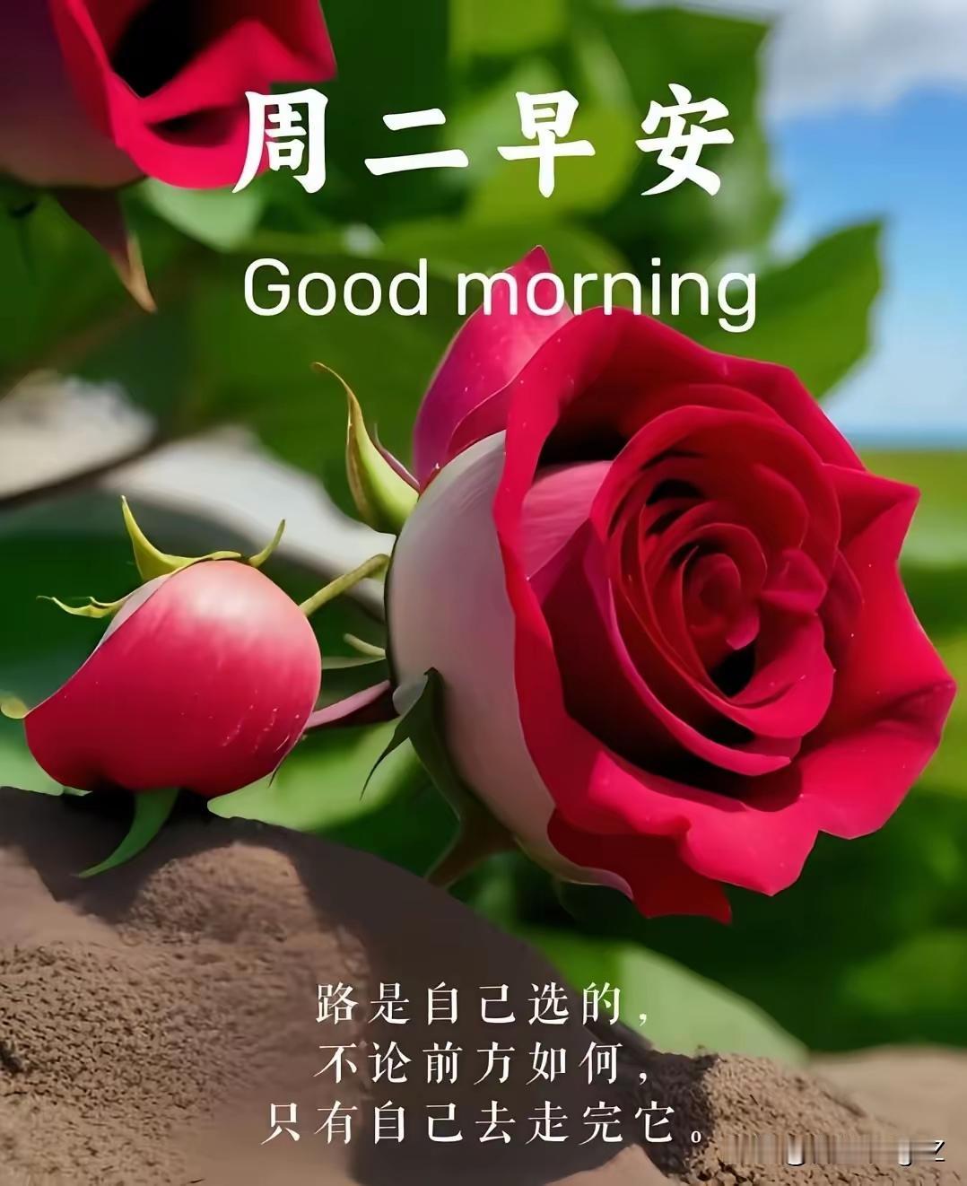 友友们早上好！一个“缘”字，让我们相识；
一个“诚”字，让我们相知；
愿我们：人