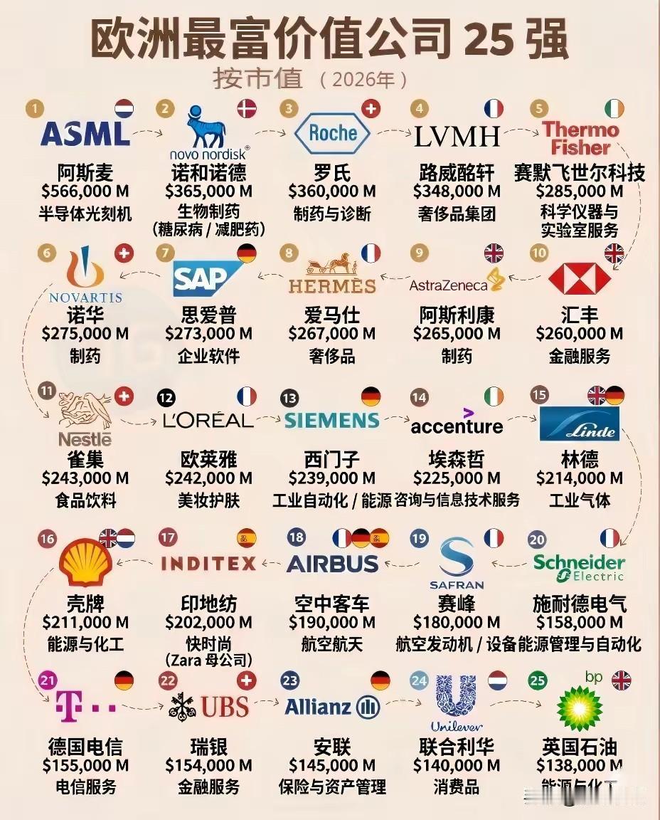 “欧洲最富价值公司 25 强（按市值 2026年）”。截至2026年欧洲市值排名