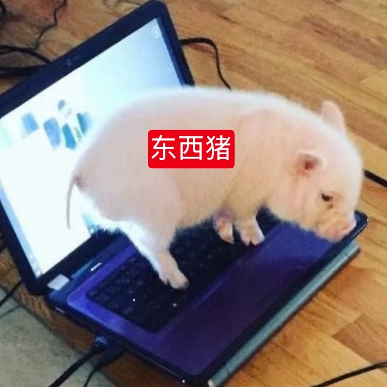 拍到了工作照 