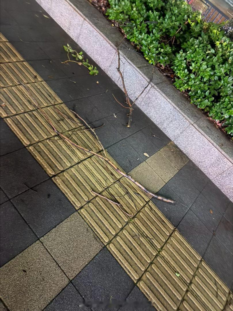 想干嘛……做美甲的时候突然刮大风感觉窗户要被吹走，还好做完之后雨变小了，下车一看