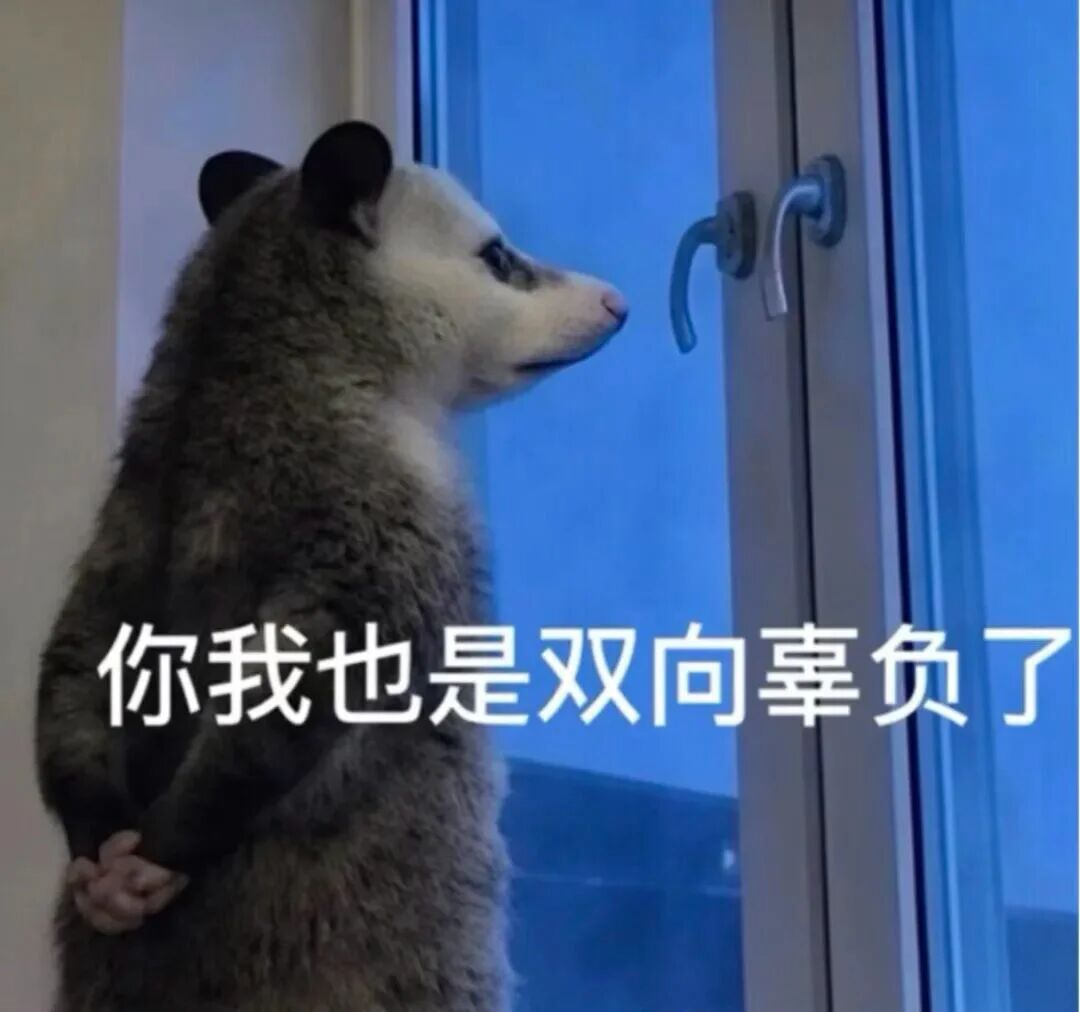 15号发工资变成20号前发工资💀 