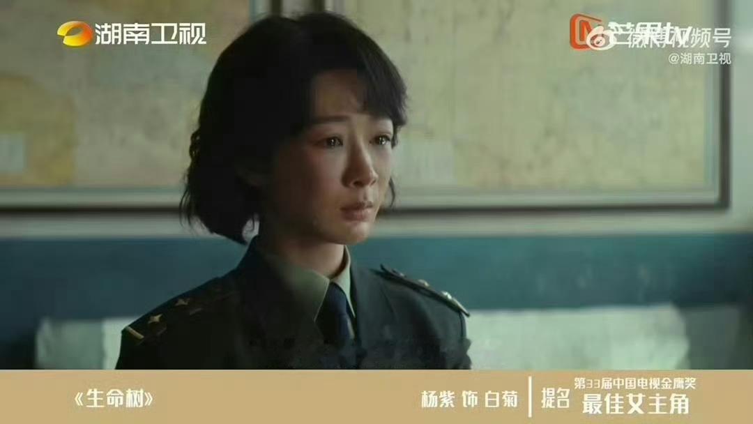 第33届金鹰奖提名演员演技大赏没有重复的表情，每一个画面都是情绪满满，来看杨紫演