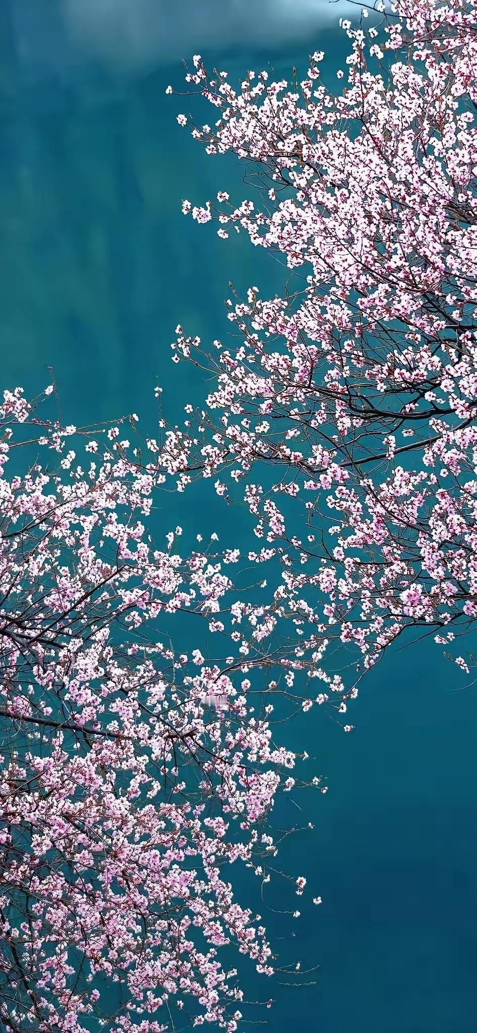 非常现实的话：“底层穷人最该做的是直接去赚钱，而不是去读书，考研，健身。不要忘了