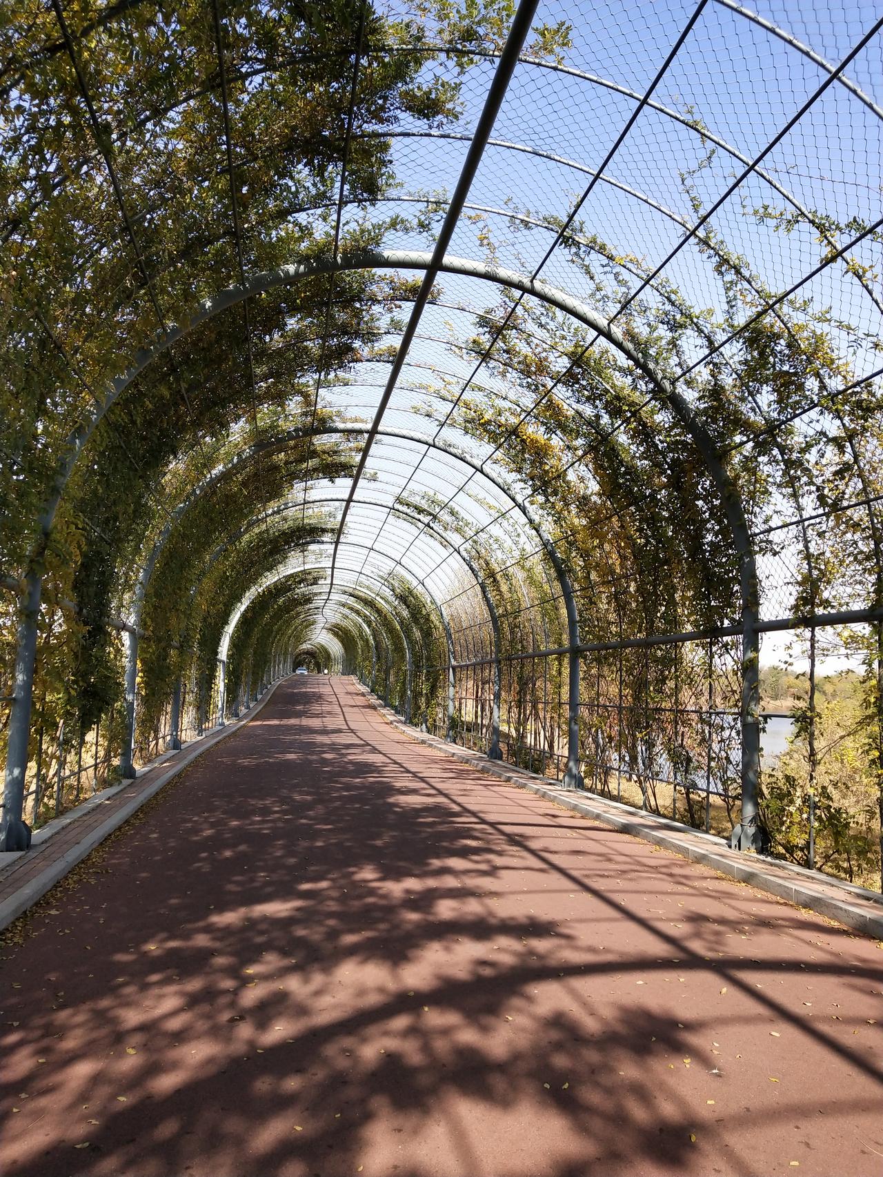 张雪峰的离去，像一记警钟，敲醒了无数在忙碌中迷失的人。人生的轨迹我们无法预设，但