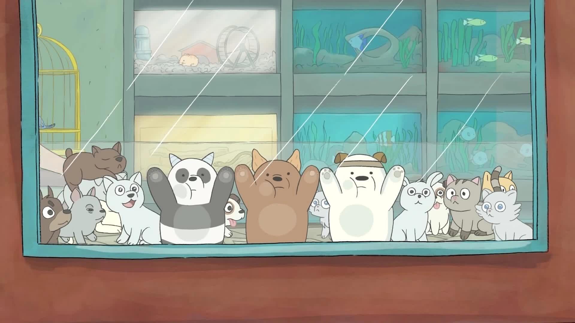 春日企画壁纸 咱们裸熊壁纸谁能拒绝咱们裸熊呢