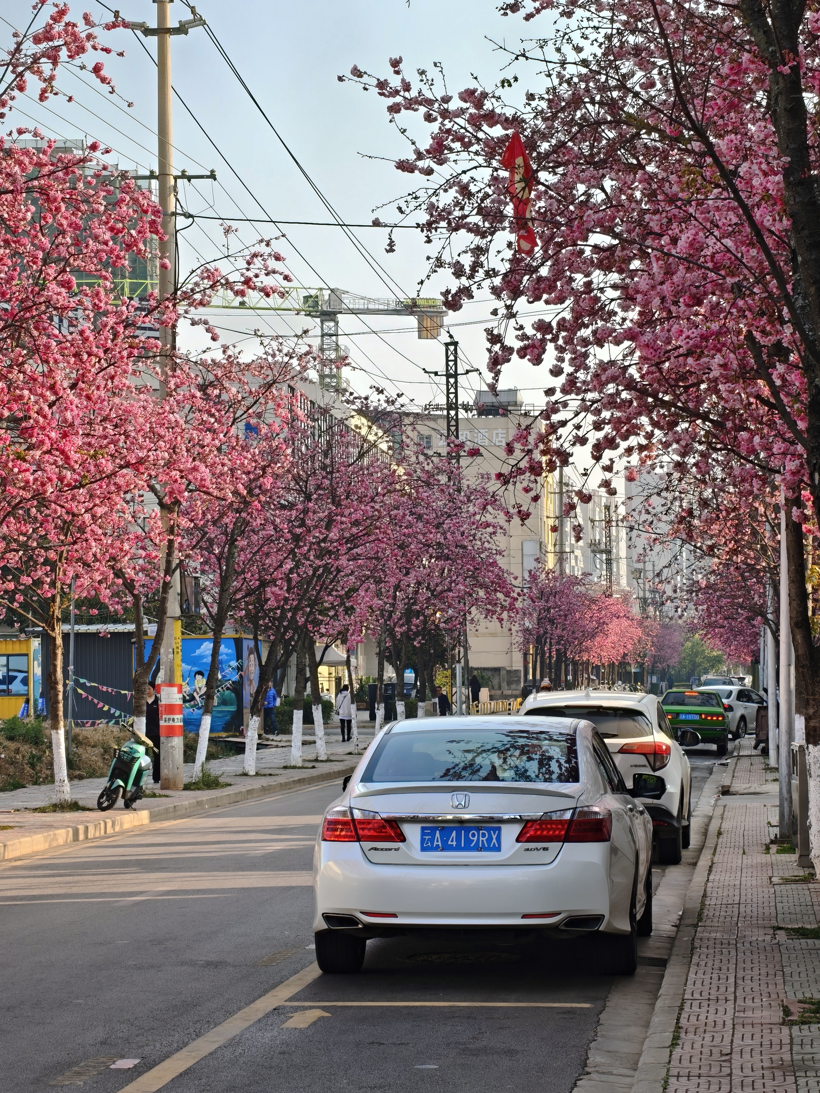 今日嵩明检察院隔壁的🌸和CR4小轿车