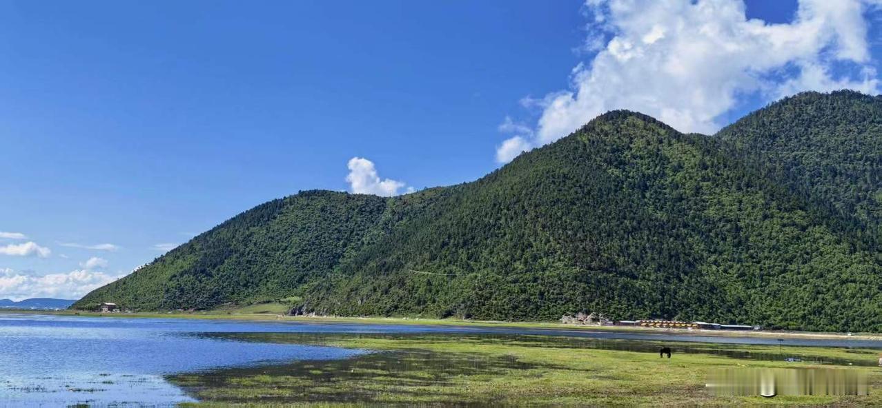 纳帕海景区，云南省迪庆藏族自治州香格里拉市建塘镇吓学小组古底谷。
图文原创：建民