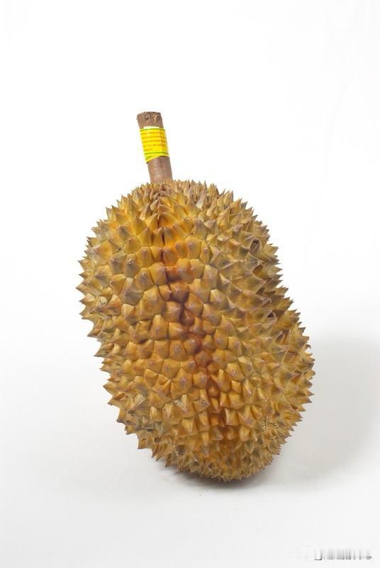 榴莲，这个水果，在我45岁之前一口都不吃，路过卖榴莲的摊位，都感觉臭气熏天。
开