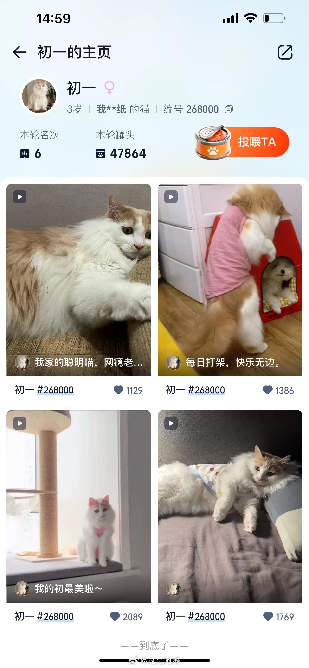 #淘宝猫王大赛决战之夜#刚刚看完不少新品发布,钱包有没有受伤呢?不过不要紧,🍑