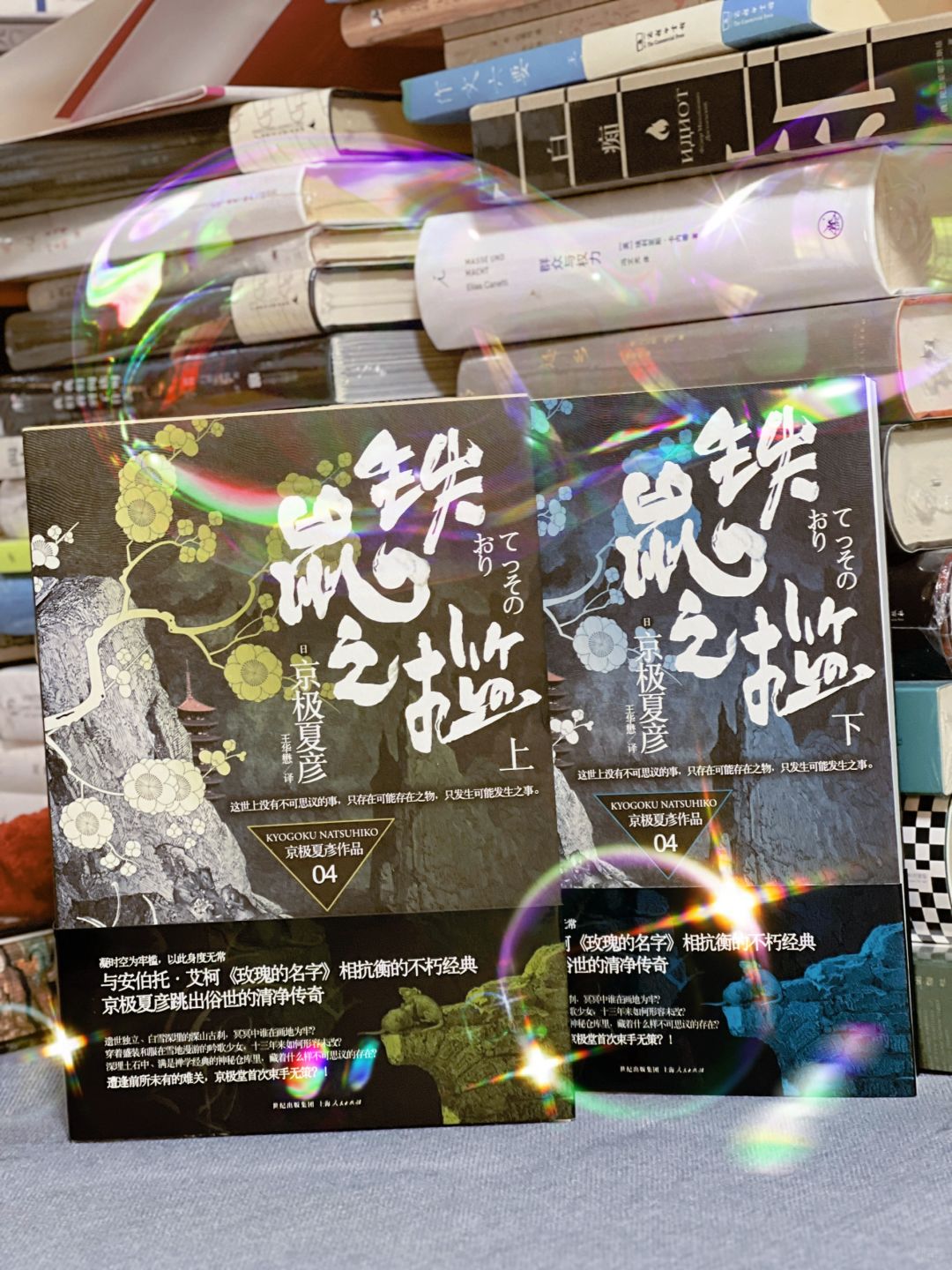 我以为我看的是本推理小说，但……