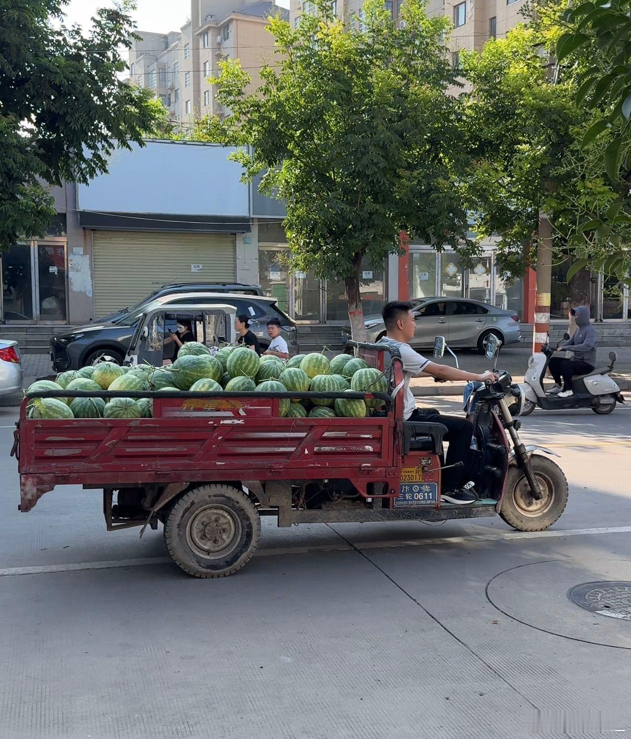 吴克群买250吨西瓜助力瓜农 偶遇吴克群和陆虎街头送西瓜，现场氛围特别好。陆虎主